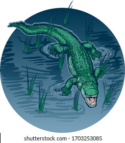 Vector cartoon clip art illustration of an alligator with an open mouth swimming or floating in swamp water with grass on a circle background in separate layers.