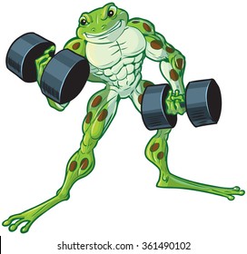 Vector cartoon clip art illustration of a tough muscular weightlifting frog curling or lifting dumbbells.