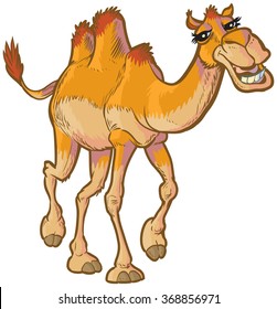 Vector cartoon clip art illustration of a happy camel walking forward toward the viewer.
