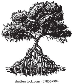 Vector cartoon clip art illustration of a black and white or monochromatic ink drawing of a mangrove tree.