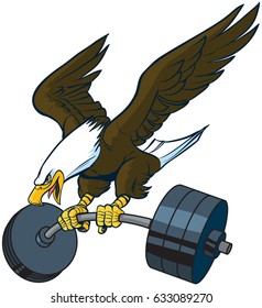 Vector cartoon clip art illustration of a bald eagle mascot diving or swooping down with spread wings and a barbell weight in its talons.