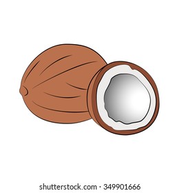 Vector cartoon coconut on white background.