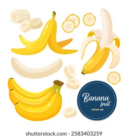 Vector cartoon collection of banana fruit different types single, bunch, sliced isolated on white background.