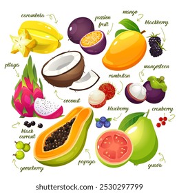 Vektor-Cartoon-Sammlung von tropischen Früchten mit Namen umfasst Karambola, Pitaya, Drachenfrucht, Johannisbeere, schwarze Johannisbeere, Stachelbeere, Papaya, Kokosnuss, Passionsfrucht, Rambutan, Heidelbeere, Guave etc