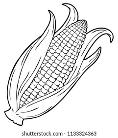 Vector Cartoon Corn Line Art