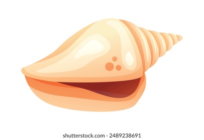 Vector cartoon of a cream conch seashell. Illustration isolated on white background