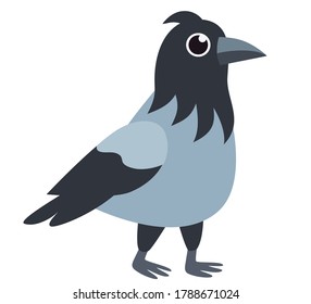 Vector cartoon crow, illustration of funny friendly crow isolated on white background