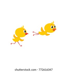 vector cartoon cute baby chicken characters set. Yellow small funny chicks flying and running. Flat bird animal, isolated illustration on a white background.