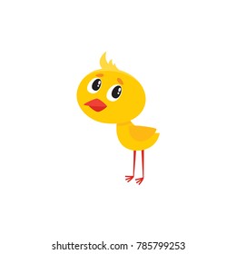 vector cartoon cute baby chicken character. Yellow small funny chick standing alone. Flat bird animal, isolated illustration on a white background.