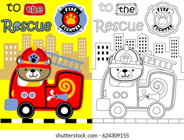 vector cartoon of cute bear driving firetruck, coloring book or page