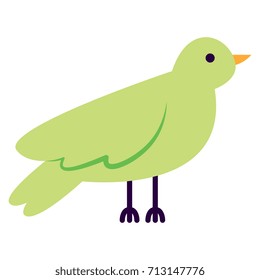 Vector Cartoon Cute Bird Isolated On White Background