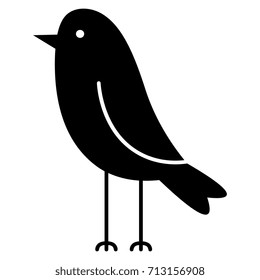Vector Cartoon Cute Bird Isolated On White Background