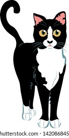 Vector Cartoon Cute Black And White Cat Illustration Isolated