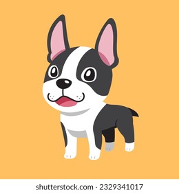 Vector cartoon cute boston terrier dog for design.