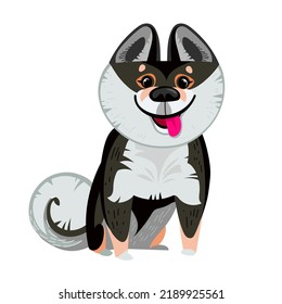 Vector cartoon cute funny dog. Breed shikoku