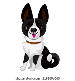 Vector cartoon cute funny dog. Breed karelian bear dog