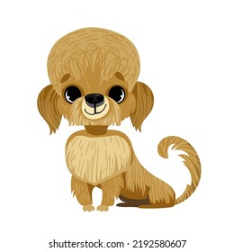 Vector cartoon cute funny dog. Breed dandie dinmont terrier