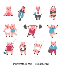 Vector cartoon cute funny pigs in human life