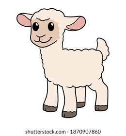 Vector Cartoon Cute Lamb Illustration