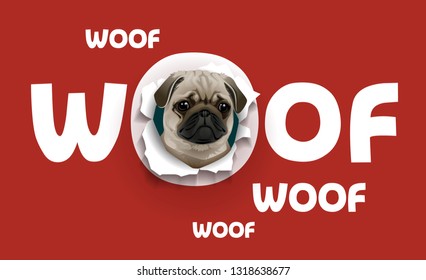 vector cartoon cute mops dog in the hole of the red poster woof sticker illustration