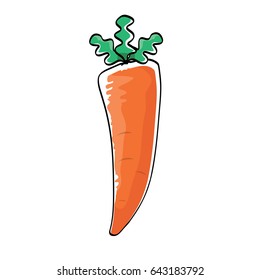 vector cartoon cute orange carrot  isolated on white background. handdrawn vegetable . vector vegan food