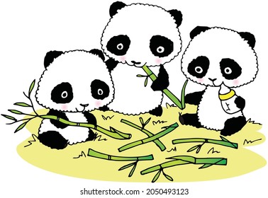 Vektorcartoon süße Panda, die Bambus und Milch fressen