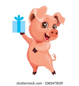 Vector cartoon cute piggy with the gift, vector illustration isolated on white background