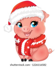 Vector cartoon cute piggy in hat and a scarf,vector illustration isolated on white background/Pig cartoon character for postcard and other