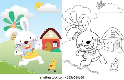 Vector cartoon of cute rabbit chasing duckling on rural view background, coloring book or page