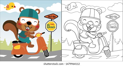 vector cartoon of cute squirrel riding scooter with little bird, coloring book or page