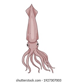 Vektorkartoon Tintenfisch. Cephalopod-Illustration