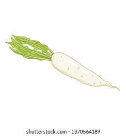 Vector Cartoon Daikon Radish