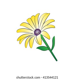 Vector cartoon daisy on white background.