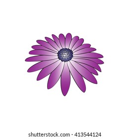 Vector cartoon daisy on white background.
