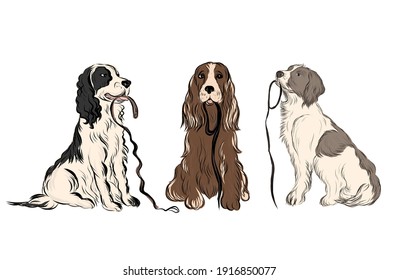 Vektorkartoon-Hund. Kaninchen. Set von Haustieren. 
