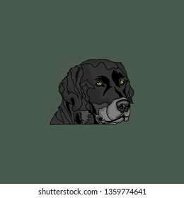vector cartoon of dog illustration
