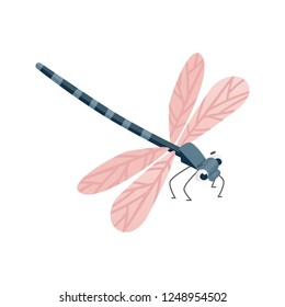Vector cartoon Dragonfly character. Funny dragon fly icon.