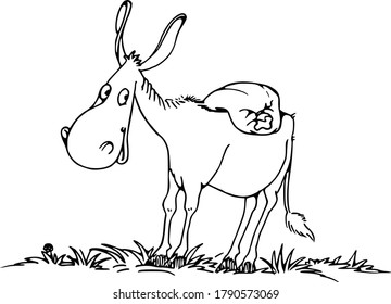 vector cartoon drawing donkey happy