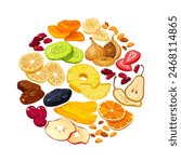 Vector cartoon dried fruits and berries in round form isolated on white background.