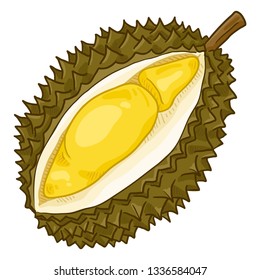 Vector Cartoon Durian Fruit