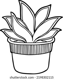 Caricatura Vectorial Planta De Serpientes Enanos En El Arte De La Línea De Plástico Blanco