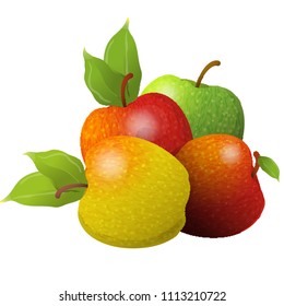 Vector cartoon element for design. Several delicious apples with stem and leaves, fruit composition. Photo Realistic illustration of healthy vegetarian food. Perfect for grocery store, drinks and more