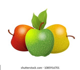 Vector cartoon element for design. Three delicious apples with stem and leaves, fruit design. Photo Realistic illustration of healthy vegetarian food. Perfect for grocery store, drinks and more