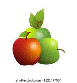Vector cartoon element for design. Three delicious apples with stem and leaves, fruit design. Photo Realistic illustration of healthy vegetarian food. Perfect for grocery store, drinks and more