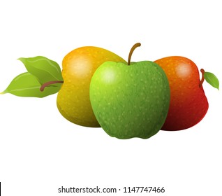 Vector cartoon element for design. Three delicious apples with stem and leaves, fruit design. Photo Realistic illustration of healthy vegetarian food. Perfect for grocery store, drinks and more