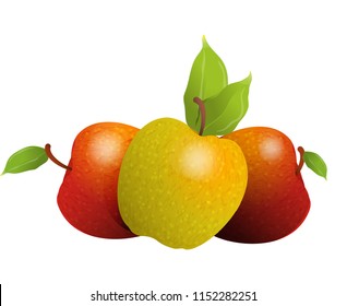 Vector cartoon element for design. Three delicious apples with stem and leaves, fruit design. Photo Realistic illustration of healthy vegetarian food. Perfect for grocery store, drinks and more