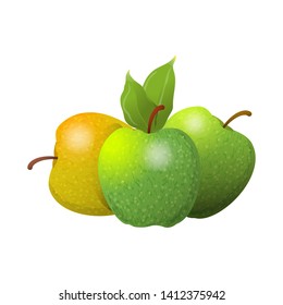 Vector cartoon element for design. Three delicious apples with stem and leaves, fruit design. Photo Realistic illustration of healthy vegetarian food. Perfect for grocery store, drinks and more