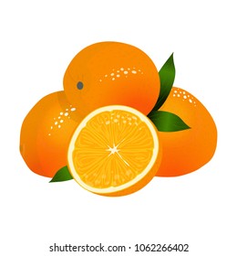 Vector cartoon elements for design. Cute composition of oranges with leaves, tropical fruits isolated on white background. Art in realistic style. Perfect for kitchen, food, juice, drinks design