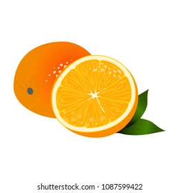 Vector cartoon elements for design. Cute composition of oranges with leaves, tropical fruits isolated on white background. Art in realistic style. Perfect for kitchen, food, juice, drinks design