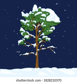 Vector Cartoon Evergreen Pine Tree in Snowy Winter Night. Evergreen Conifer Tree